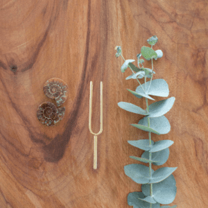 333 Hz assists to activate your connection to higher consciousness, ascended Masters, divine healing and encourages the body to relax and rejuvenate.