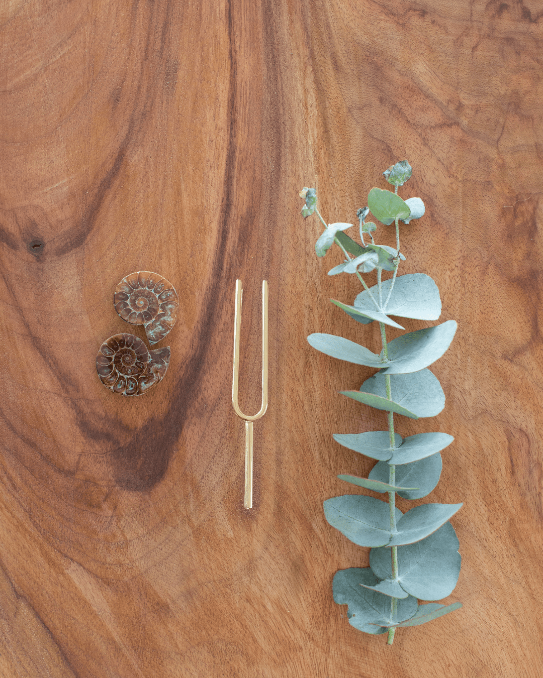 333 Hz assists to activate your connection to higher consciousness, ascended Masters, divine healing and encourages the body to relax and rejuvenate.