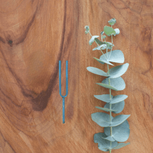 555 Hz Blue Titanium Tuning Fork