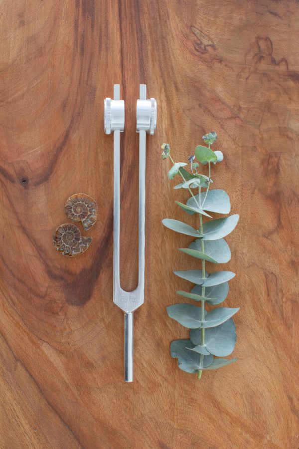 89 Hz Weighted Tuning Fork