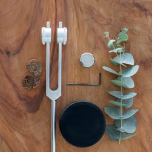 Tuning Fork Pain relief kit