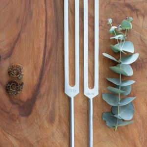 144 Hz, 174 Hz tuning forks