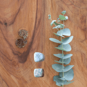 Howlite + Leopard Skin Jasper Duo