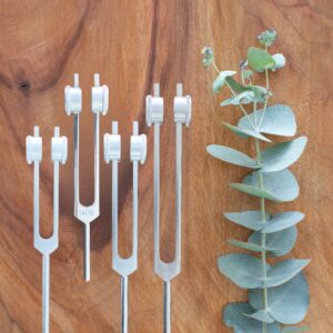 Weighted Tuning Fork Kit
