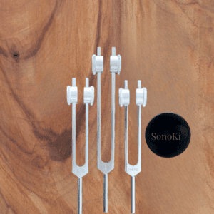 Weighted Tuning Fork Kit