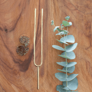 Discover the SonoKi Gold Gamma 120 Hz Tuning Fork with 24K gold coating, designed to support focus, mental clarity, conscious awareness, meditation, sound healing and energy balancing.
